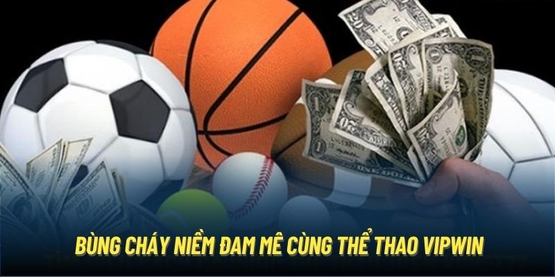 Tỷ lệ cược dành cho anh em siêu hấp dẫn