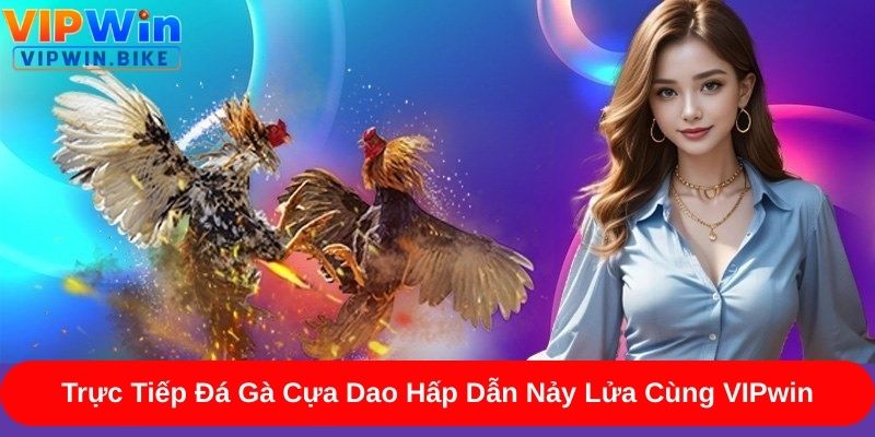 Quy luật trực tiếp đá gà cựa dao chi tiết từ A đến Z